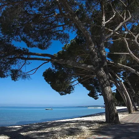 Happy Camp Mobile Homes In Centro Vacanze Bi Village