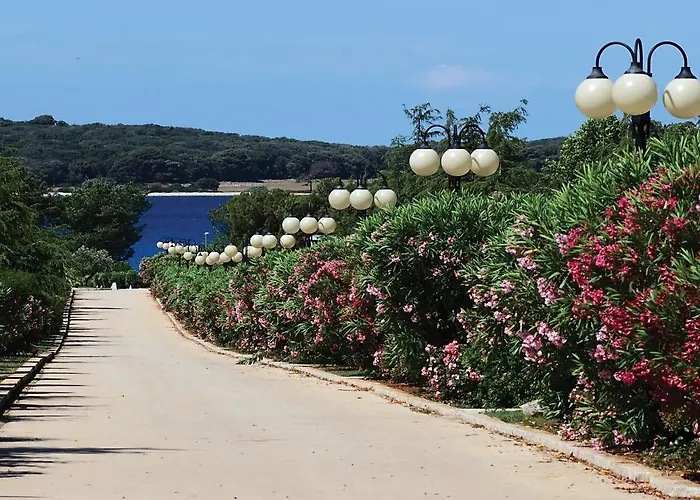 Happy Camp Mobile Homes In Centro Vacanze Bi Village Holiday park 3*