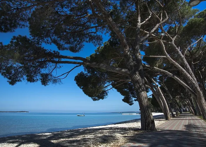 Happy Camp Mobile Homes In Centro Vacanze Bi Village